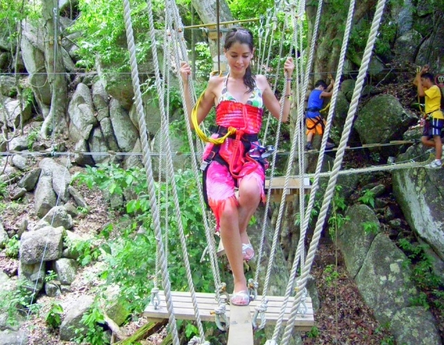  Bridges and harnesses 